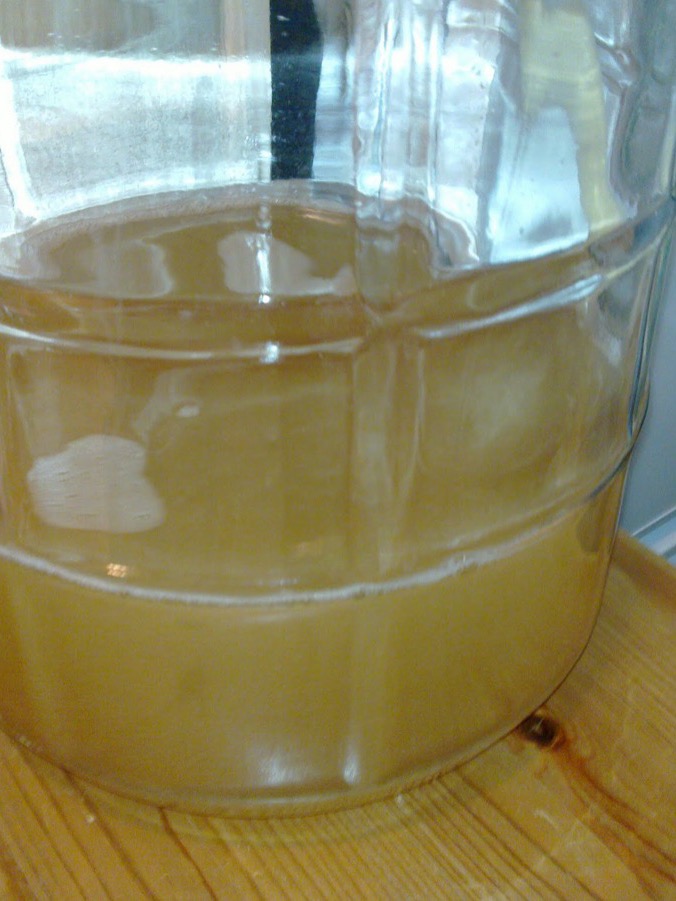 Wort in a glass carboy