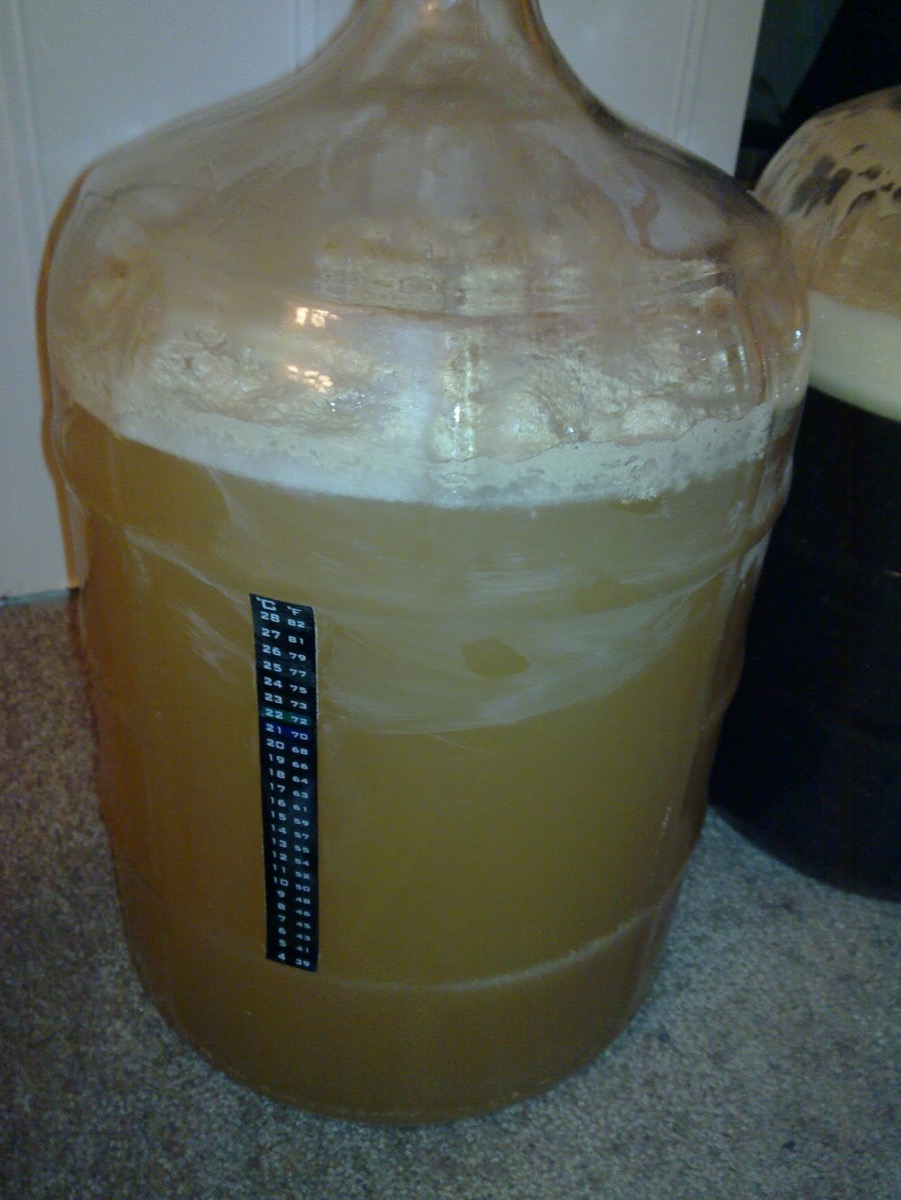 Fermenting beer in a carboy with temperature strip
